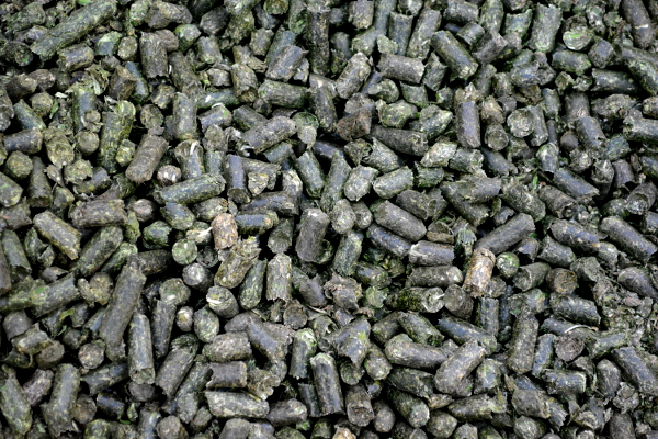 Futterpellets der Trocknungsanlage Hilpoltstein