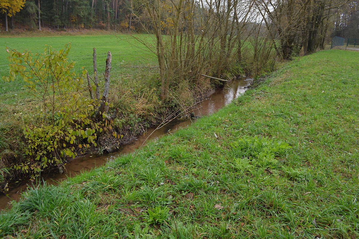 Gelände bei Zell